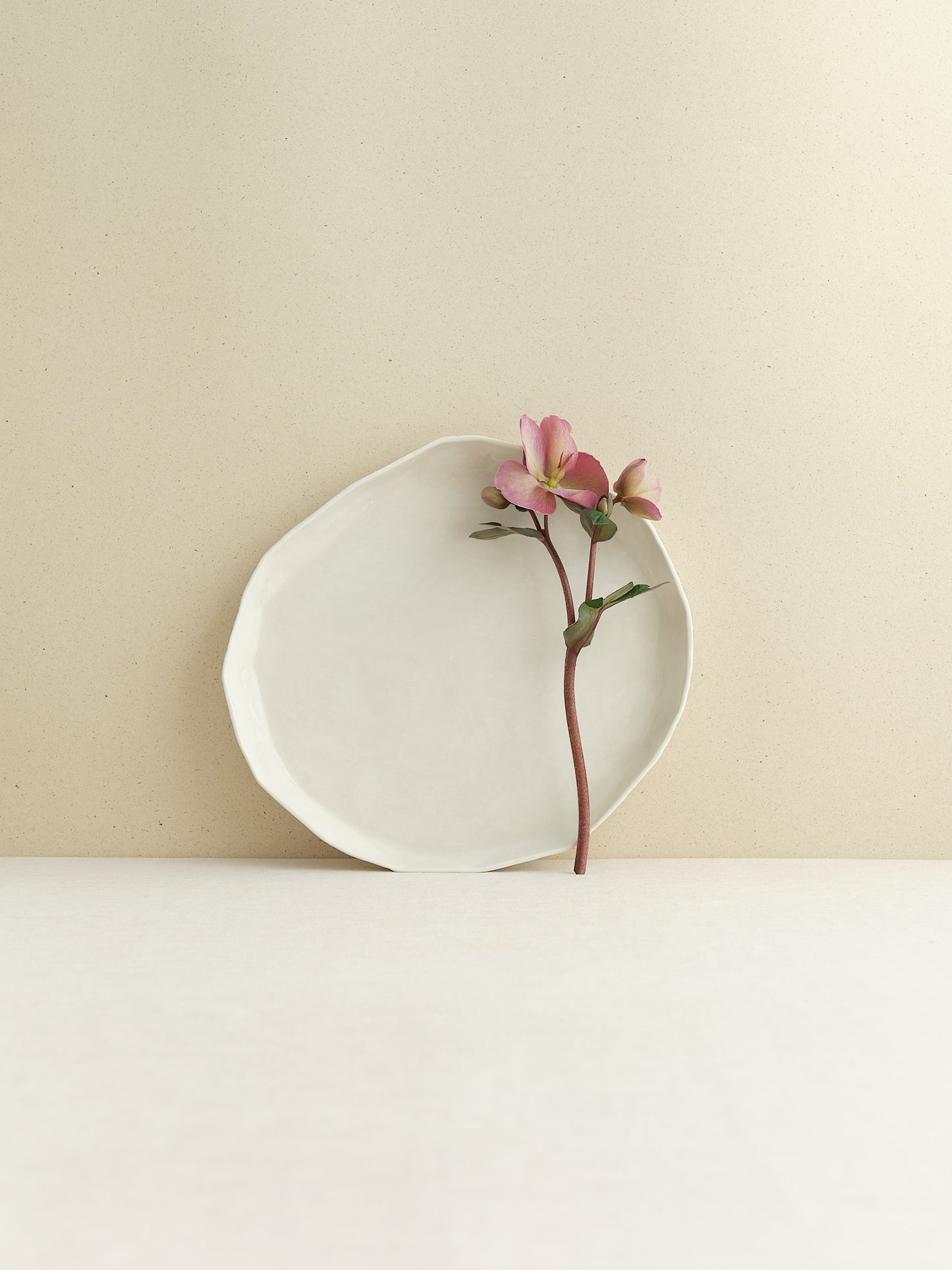 Supachura: Big plate
