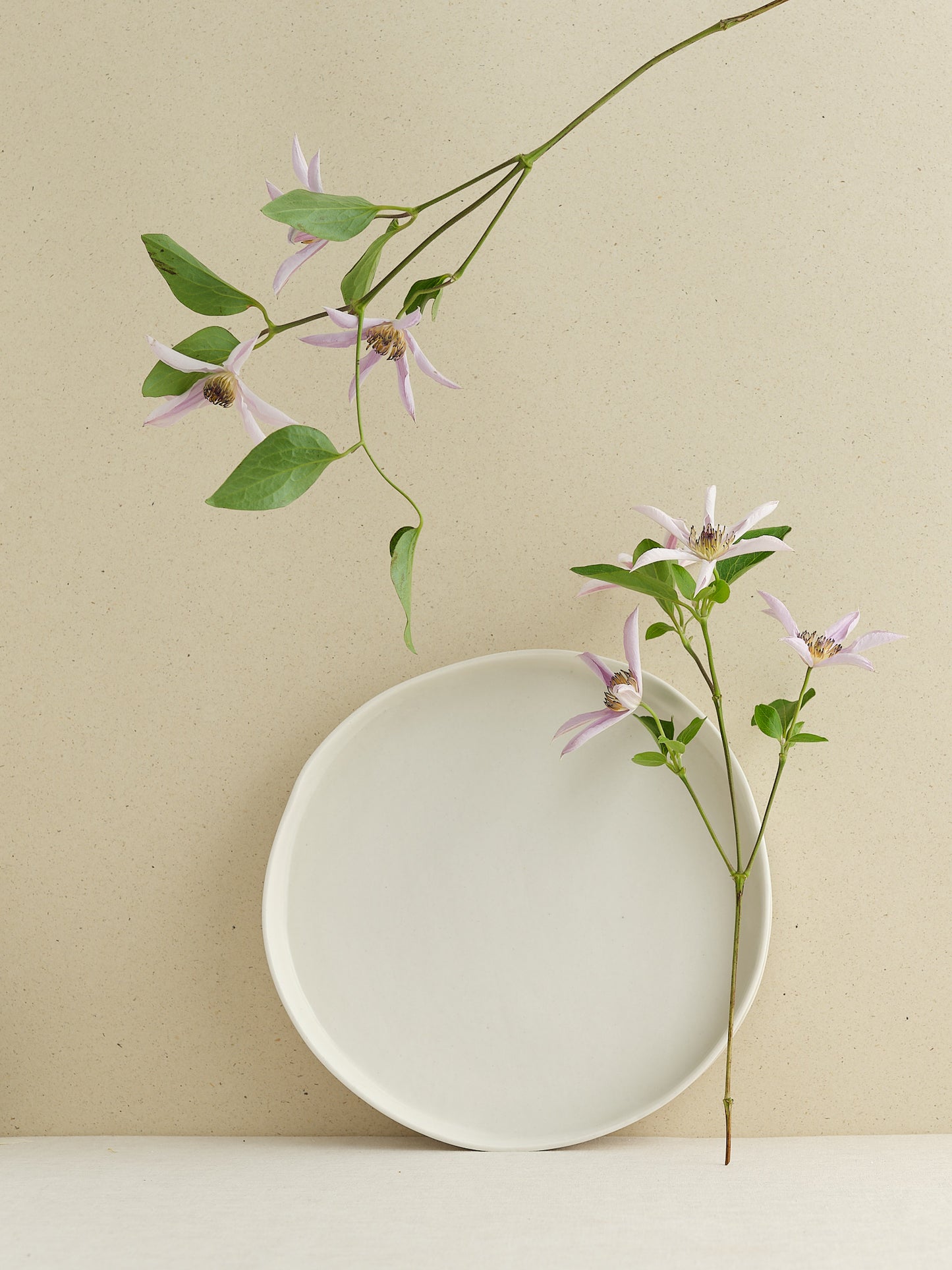 Soboku: big plate