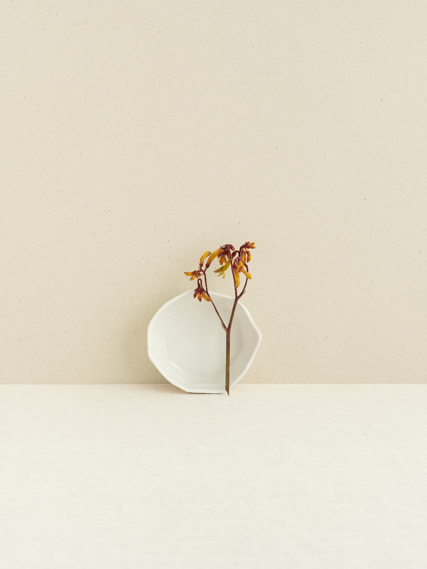 Supachura: small icecream bowl