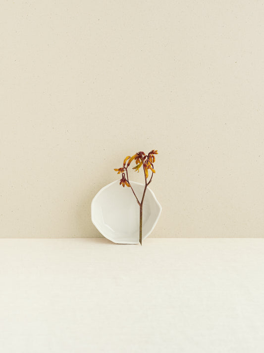 Supachura: small icecream bowl